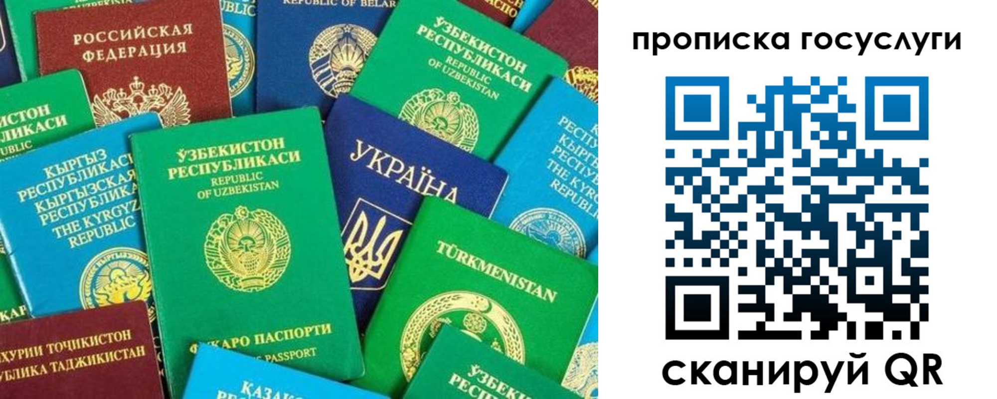 временная регистрация для всех в Темрюке